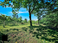 Земельный участок в Чакви. Выгодно для инвестиций в Чакви. У реки. Фото 3