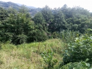 Продажа земельного участка в селе Хелвачаури, Аджария, Грузия. Фото 2