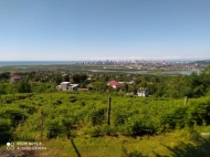 Ground area ( A plot of land ) for sale in the suburbs of Batumi, Georgia. Photo 1