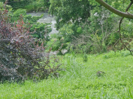 Земельный участок у моря в Чакви. Земельный участок у реки в Чакви, Грузия. Фото 6