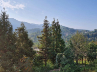 Купить частный дом с земельным участком в пригороде Батуми, Грузия. Фото 16