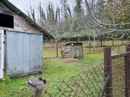 Купить дом с земельным участком в пригороде Озургети, Грузия. Фруктовый сад. Ореховый сад. У реки. Фото 14