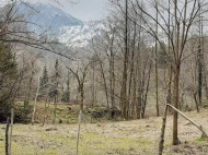 იყიდება მიწის ნაკვეთი ქალაქგარეთ ბათუმი, ორთაბათუმი. მდინარესთან. ფოტო 6