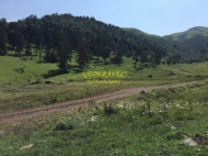 Ground area ( A plot of land ) for sale in Bakuriani. Georgia. Near the cableway Photo 8
