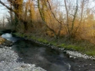 House for sale with a plot of land in Samtredia, Georgia. Near the river. Photo 13