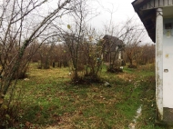 Продается частный дом с земельным участком в Озургети, Грузия. Ореховый сад. Фото 2