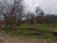 Land for sale in Kakheti, Georgia. Photo 3