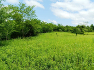 House for sale with a plot of land in the suburbs of Senaki, Georgia. Near the river. Photo 3