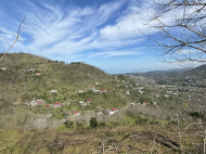 Продается земельный участок в пригороде Батуми, Грузия. Ахалшени. Выгодно для инвестиционных проектов. Фото 7