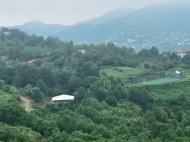 იყიდება სახლი მიწის ნაკვეთით სოფელ თხილნარში, საქართველო, ბაღთან ახლოს. მდებარეობს ულამაზეს ტყიან ადგილას, მდინარის მსგავს გარემოში. ფოტო 6