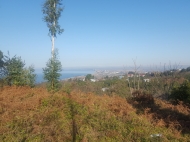 Земельный участок с видом на море и горы. Цихисдзири, Аджария, Грузия. Фото 4