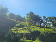 Продается частный дом с земельным участком в Квирике, Грузия. Фото 16