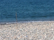 Чистейший  пляж, галька. ფოტო 3