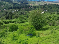 მიწის ნაკვეთი კურორტულ ზონაში ჩაქვში, საქართველო. ზღვის ხედებით. ფოტო 5 მიწის ნაკვეთი კურორტულ ზონაში ჩაქვში, საქართველო. ზღვის ხედებით. ფოტო 5