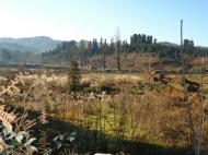 Продажа земли в Чакви, Аджария, Грузия. Фото 6