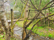 იყიდება მიწის ნაკვეთი. მახინჯაური, აჭარა, საქართველო.  ფოტო 2