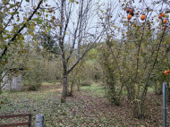 Купить дом с земельным участком в пригороде Озургети, Грузия. Фруктовый сад. Ореховый сад. У реки. Фото 15