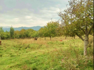 Land parcel, Ground area for sale in Surami, Georgia. Photo 2