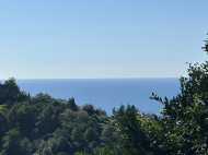Земельный участок в курортной зоне Чакви, Сачино. Грузия. Вид на море. Фото 3