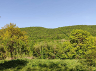 Land parcel, Ground area for sale in a resort district of Tianeti, Georgia. Photo 1
