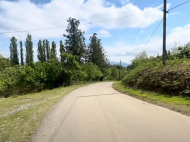 House for sale with a plot of land in the suburbs of Ozurgeti, Georgia. Near the river. Photo 12