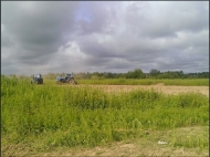 Ground area ( A plot of land ) for sale in Anaklia, Georgia. Walnut garden. Photo 10