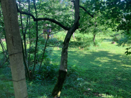 მიწის ნაკვეთი კურორტულ ზონაში ჩაქვში, საჩინო. საქართველო. ფოტო 5 მიწის ნაკვეთი კურორტულ ზონაში ჩაქვში, საჩინო. საქართველო. ფოტო 5