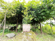 House for sale with a plot of land in the suburbs of Ozurgeti, Georgia. Orchard. Walnut garden. Near the river. Photo 20