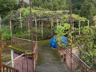 Купить частный дом в курортном районе Кобулети, Грузия. Мандариновый сад, Фруктовый сад. Фото 13