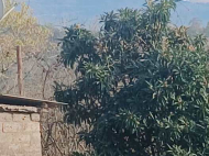 ყიდვა კერძო სახლის მიწის ნაკვეთით ოზურგეთი, საქართველო. ფოტო 5