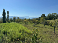 Купить земельный участок в пригороде Самтредиа, Грузия. У реки. Фото 7