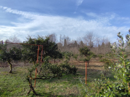 Продается частный дом с земельным участком в Шрома, Грузия. Фото 17