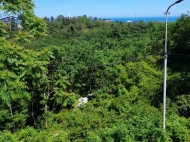 Ground area for sale in the suburbs of Batumi, Georgia. Land with sea view. Photo 3