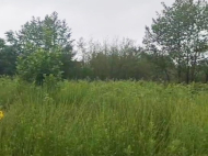 Land parcel, Ground area for sale at the seaside of Shekvetili, Georgia. Photo 5