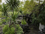 იყიდება კერძო სახლი პალიასტომის ტბის სანაპიროზე. ვყიდი კერძო სახლს პალიასტომის ტბასთან. საქართველო. ფოტო 14