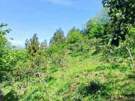 Срочно! Продается частный дом с земельным участком в Супса, Грузия. Фото 3