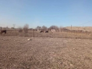 A plot of land for sale in the suburbs of Tbilisi. Photo 4