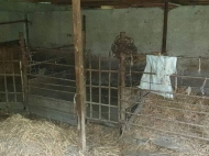 Sale of land in Lagodekhi. Kakheti, Georgia. Livestock farm. Photo 11