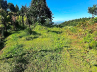 Земельный участок в курортной зоне Чакви, Сачино. Грузия. Участок с видом на море. Фото 4
