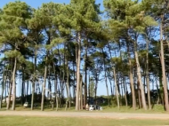 Land parcel, Ground area for sale by the sea in Grigoleti, Georgia. Photo 1