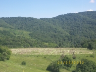 Sold a ready farm with a plot of 15 hectares Photo 8