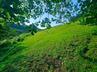 Land parcel, Ground area for sale in the suburbs of Batumi. Akhalsheni. Photo 9