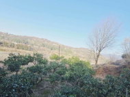 Купить частный дом в курортном районе Кобулети, Грузия. Мандариновый сад, Фруктовый сад. Фото 13