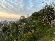 Private house for sale with land plot in Gonio, Georgia. Profitably for business. Photo 3