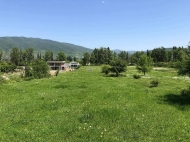 Продается земельный участок в пригороде Тбилиси, Натахтари. Фото 4