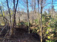 Продается частный дом с земельным участком в Шрома, Грузия. Фото 26