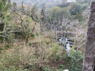 ვიყიდი კერძო სახლს საკურორტო რაიონში ჩაქვში, ჩაისუბანი. ფოტო 11