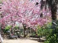 Продается деревянный домик. Купить дом с земельным участком в пригороде Самтредиа, Грузия. Фото 7