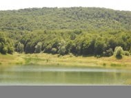 Ground area ( A plot of land ) for sale on the river bank. Kakheti, Georgia. Photo 1