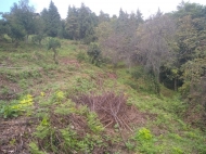 In the surroundings of Batumi, the land plot is sold Photo 2